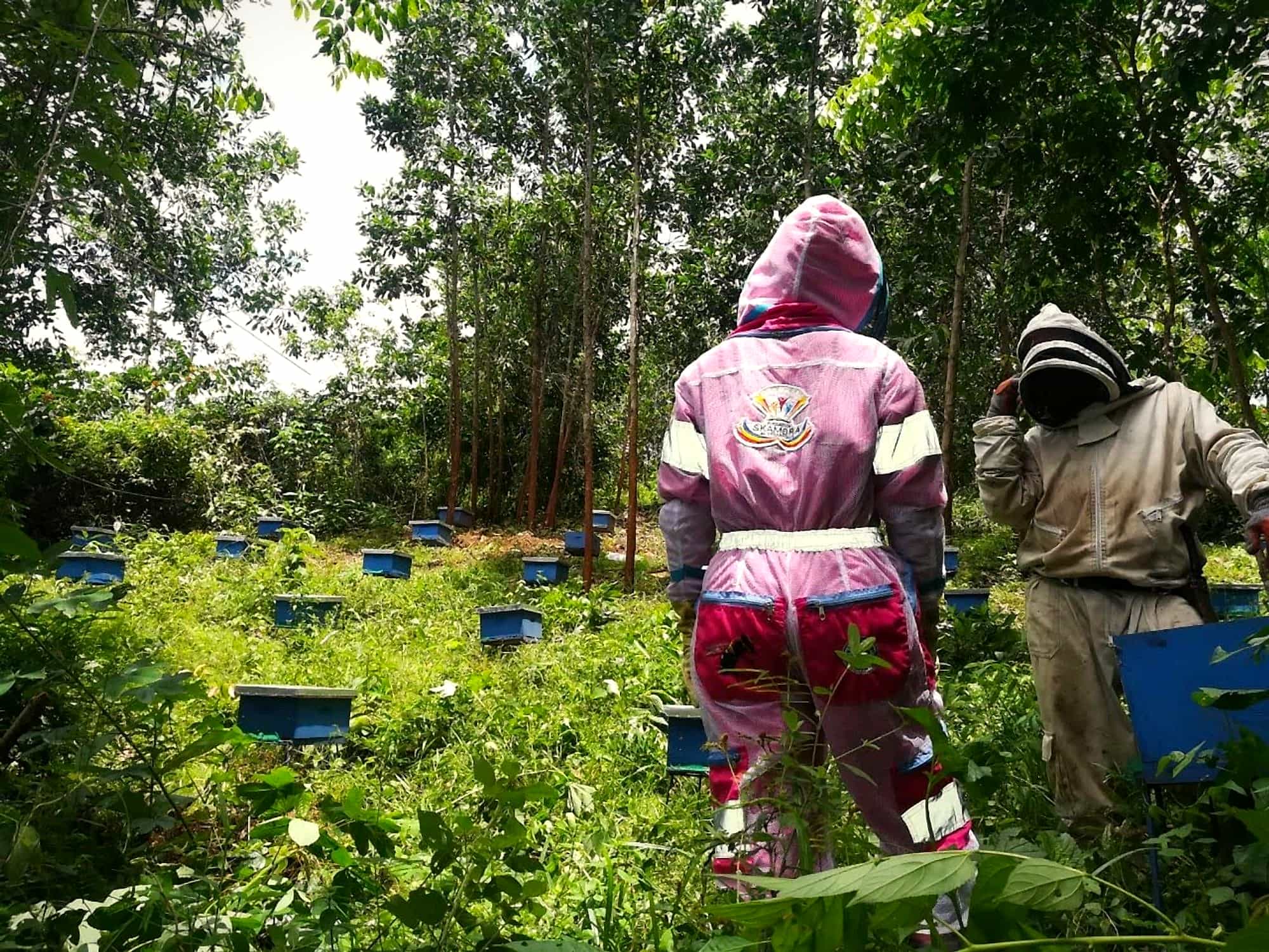 Equipo de la fundación con trajes de apicultura en un apiario de colmenas azules