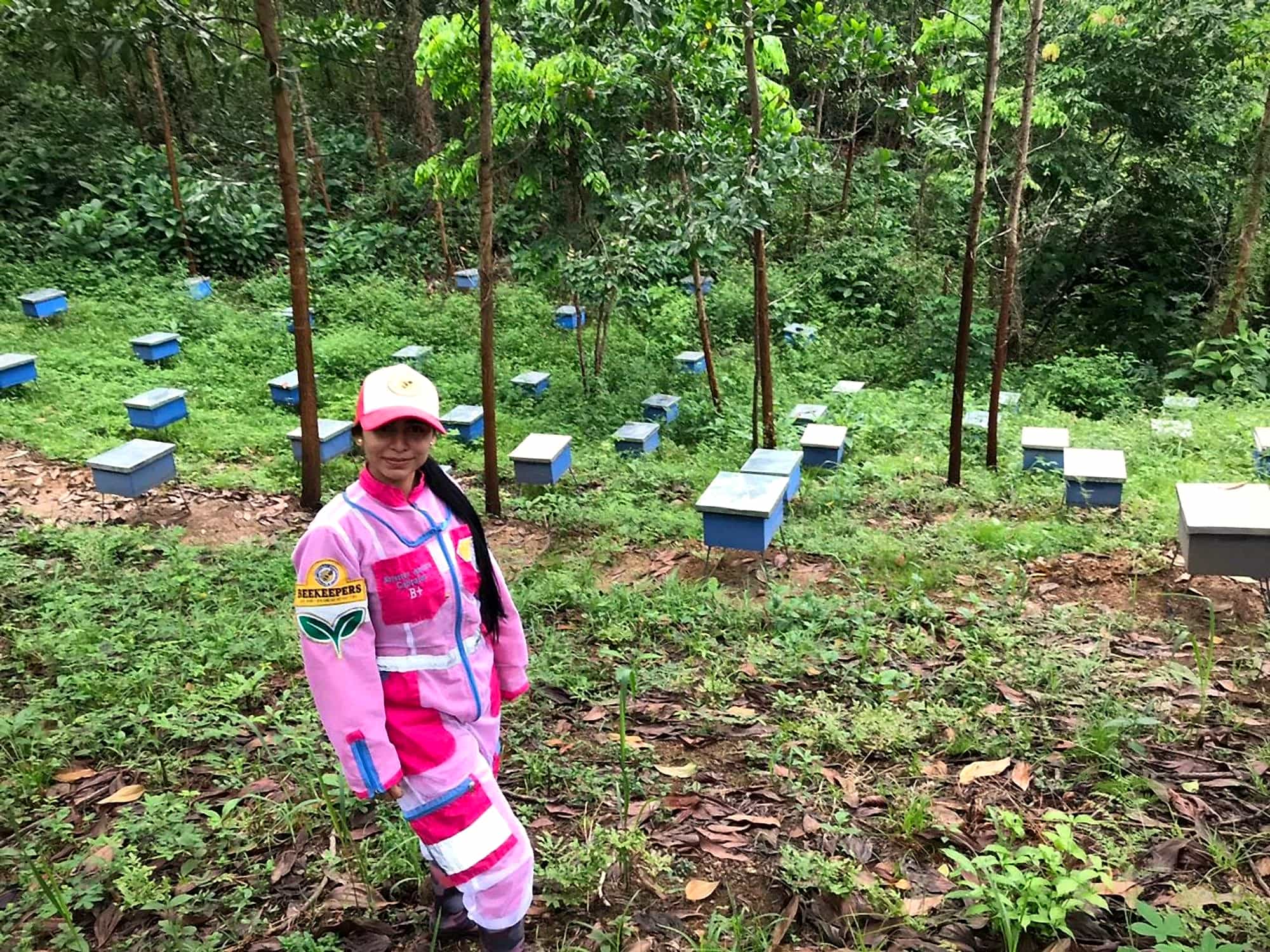 Apicultora con traje rosado en un apiario de colmenas azules entre árboles