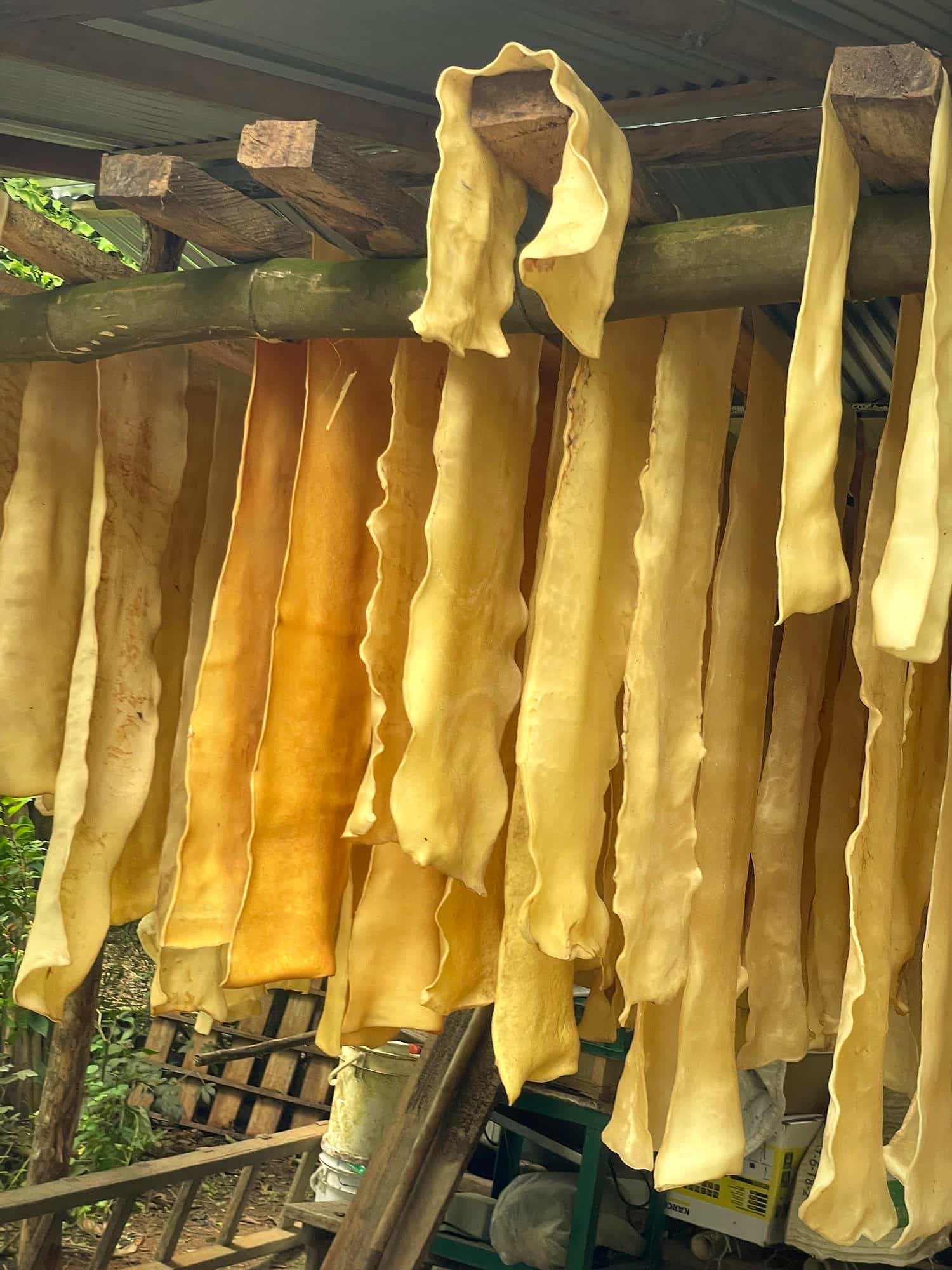 Láminas de caucho natural apiladas en el secadero