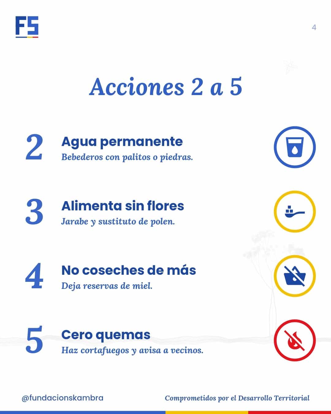 Acciones 2 a 5: agua permanente, alimenta sin flores, no coseches de más y cero quemas