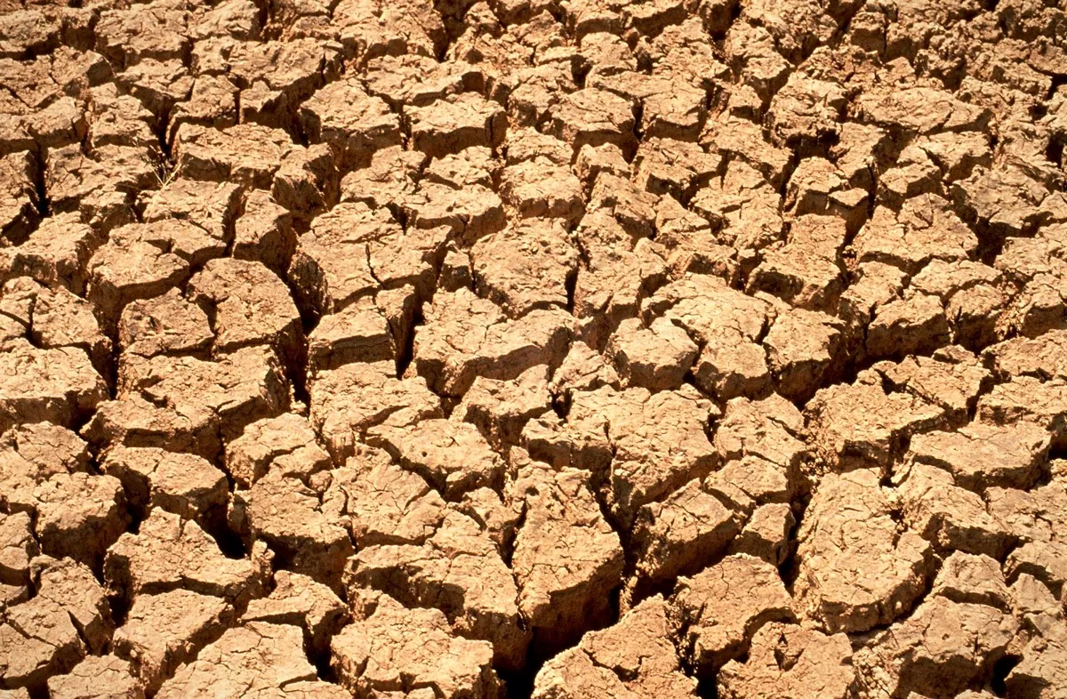 Suelo agrietado por la sequía