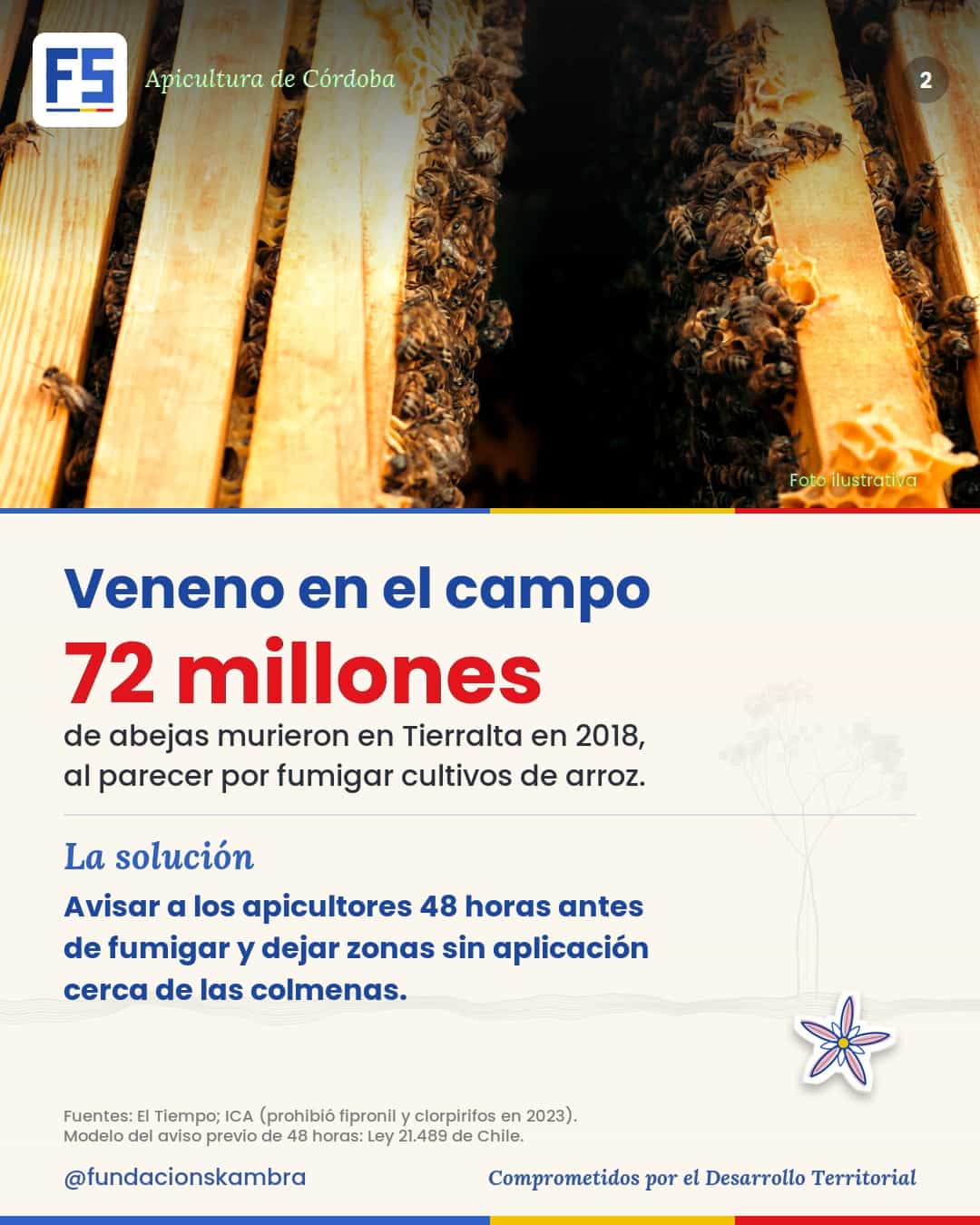 Veneno en el campo: 72 millones de abejas murieron en Tierralta en 2018 por fumigaciones