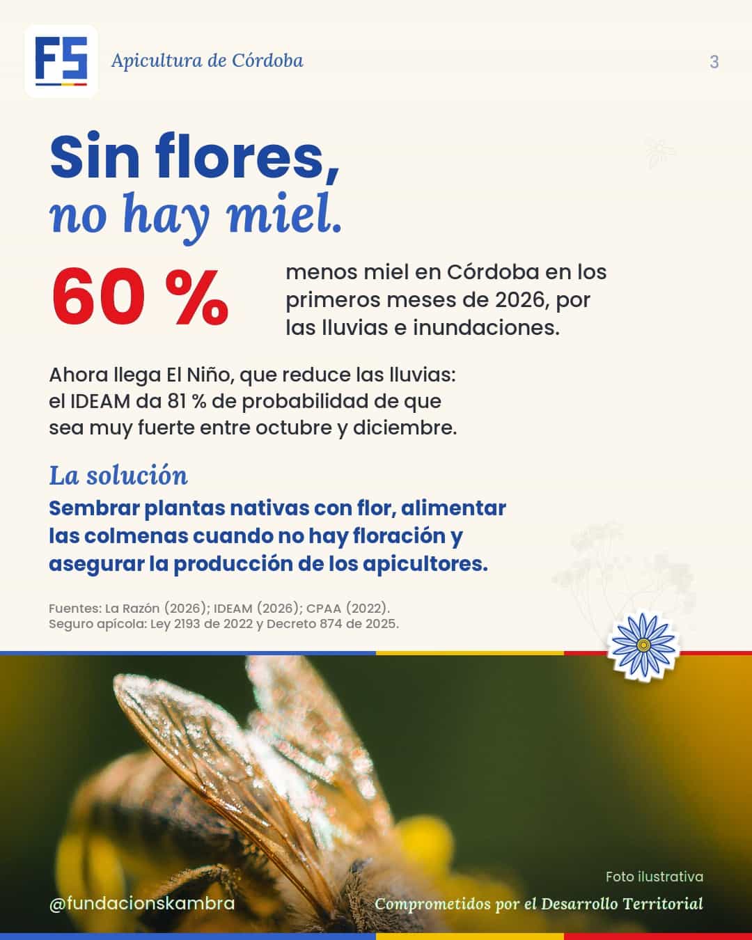 Sin flores no hay miel: la producción cayó 60 % en 2026 por las lluvias y ahora llega El Niño
