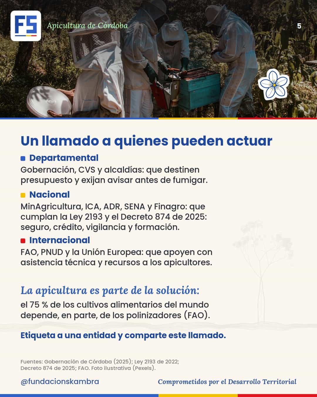 Un llamado a las entidades departamentales, nacionales e internacionales para actuar